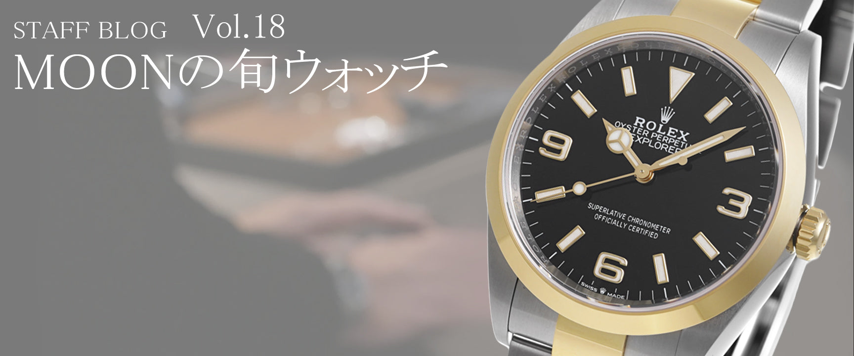 MOONPHASE WATCH Vol18REF125273_3024x