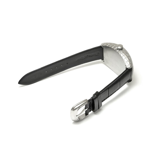 トノーカーベックス アイロンクロコ 箱・2013年国内正規保証書付き Ref.8880SC IRON CRO 中古品 商品画像6